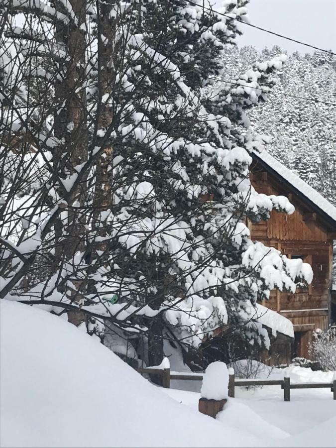 Chalet Pomme De Pin 5 Chambres 12 A 14 Personnes Formigueres Ngoại thất bức ảnh